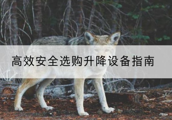 滴道升降货梯厂家推荐-*安全选购升降设备指南