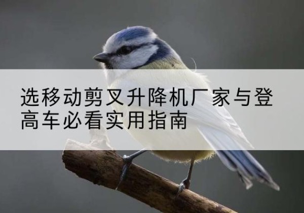 滴道电动升降机厂家-选移动剪叉升降机厂家与登高车必看实用指南
