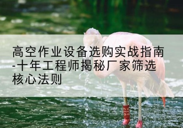 滴道剪叉式升降机厂家-高空作业设备选购实战指南-十年工程师揭秘厂家筛选核心法则
